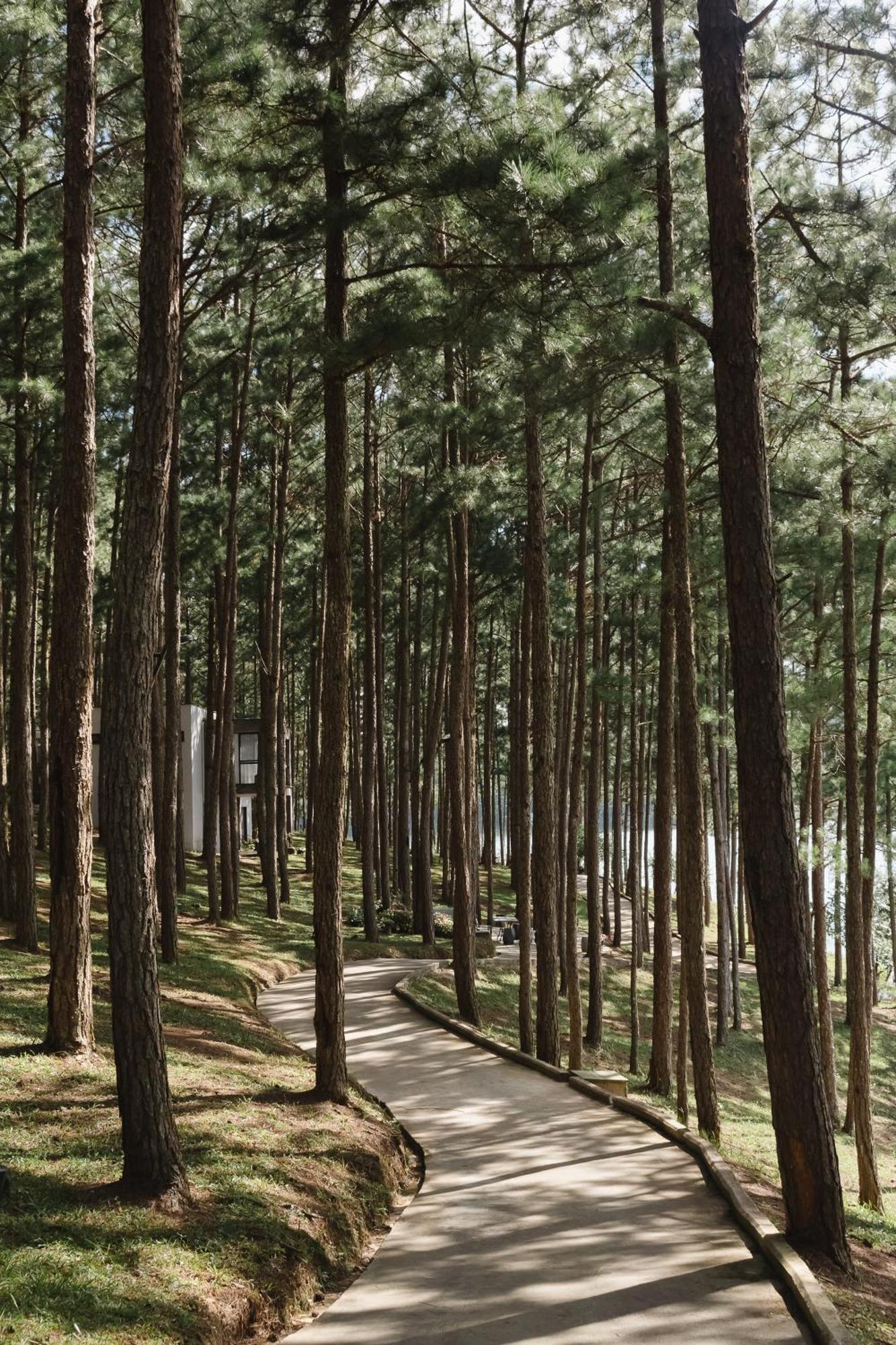 Terracotta Hotel & Resort Dalat Zewnętrze zdjęcie